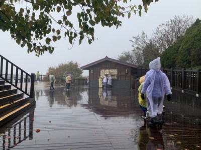 太平山國家森林遊樂區有雨勢  水氣足1